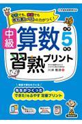 中級算数習熟プリント　小学５年生