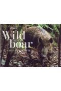 Ｗｉｌｄ　ｂｏａｒ