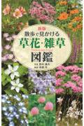 散歩で見かける草花・雑草図鑑