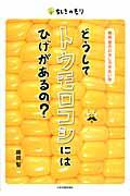 どうしてトウモロコシにはひげがあるの？