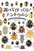 調べてびっくり！テントウムシ