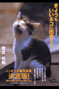 きょうも、いいネコに出会えた / ニッポンの猫写真集