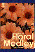 フローラルメドレー　花の散歩道