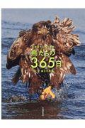 鳥たちの365日 / 北海道サロベツ原野