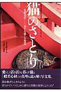 猫のさとり / 色即是空ー幸せを感じる智慧