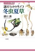 �C���X�g����@�䂾�炯�̃L�m�R�@�~���đ�