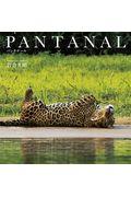 ＰＡＮＴＡＮＡＬ