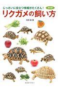 リクガメの飼い方