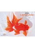 Ｇｏｌｄ　Ｆｉｓｈ　金魚カレンダー