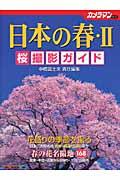 日本の春桜撮影ガイド
