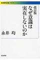 なぜ意識は実在しないのか　改訂版