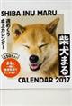 柴犬まる週めくり卓上カレンダー　２０１７