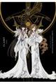 ＣＬＡＭＰ　ＰＲＥＭＩＵＭ　ＣＯＬＬＥＣＴＩＯＮ　Ｘ　１３