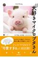 #大好きマイクロブタさん