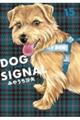 DOG�@SIGNAL�@15