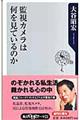 監視カメラは何を見ているのか