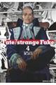 �V���Ł@Fate/strange Fake �i4�j�@���ʔ�