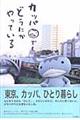 カッパでもどうにかやっている