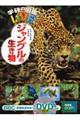 ジャングルの生き物