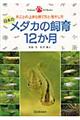 日本のメダカの飼育１２か月