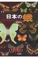 日本の蛾