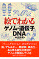 絵でわかるゲノム・遺伝子・DNA(ディーエヌエー)
