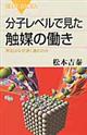 分子レベルで見た触媒の働き