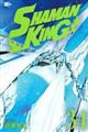 ＳＨＡＭＡＮ　ＫＩＮＧ　３４