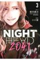 NIGHT HEAD 2041 3