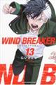 ＷＩＮＤ　ＢＲＥＡＫＥＲ　１３