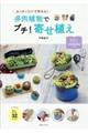 カンタンＤＩＹで作れる！多肉植物でプチ！寄せ植え