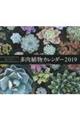 毎日見たい!多肉植物カレンダー 2019