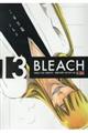 BLEACH 13