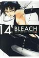 BLEACH 14