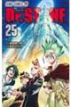 Ｄｒ．ＳＴＯＮＥ　２５