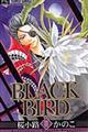 BLACK BIRD 11