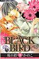 BLACK BIRD 16