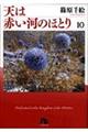 天は赤い河のほとり　第１０巻