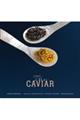 Ｔｈｅ ＣＡＶＩＡＲ
