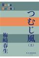 つむじ風　上