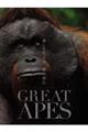 ＧＲＥＡＴ　ＡＰＥＳ