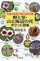 和名の由来で覚える３７２種野と里・山と海辺の花ポケット図鑑