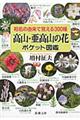 和名の由来で覚える３００種高山・亜高山の花ポケット図鑑