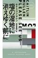 塩の湿地に消えゆく前に