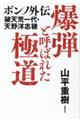 爆弾と呼ばれた極道　ボンノ外伝　破天荒一代・天野洋志穂