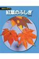 紅葉のふしぎ　新装版