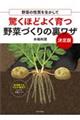 驚くほどよく育つ野菜づくりの裏ワザ決定版