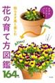 枯らさず長く楽しむ花の育て方図鑑