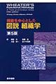 機能を中心とした図説組織学　第５版