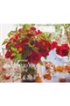 壁掛けカレンダー Grace to you恵みの花々をあなたに 2027